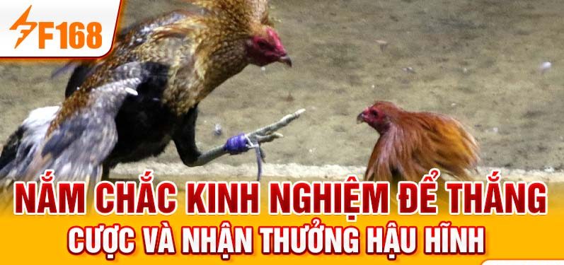Nắm chắc kinh nghiệm để thắng cược và nhận thưởng hậu hĩnh Nắm chắc kinh nghiệm để thắng cược và nhận thưởng hậu hĩnh